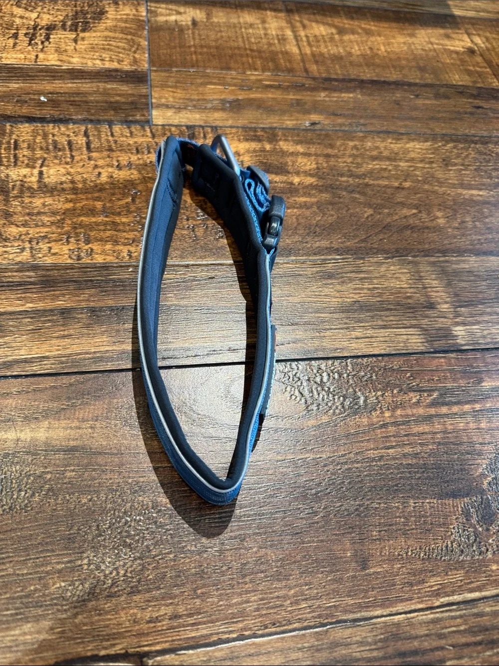 Non-stop Dogwear Roam collar/ blue